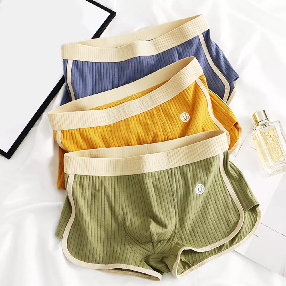 Zenith Brief Set